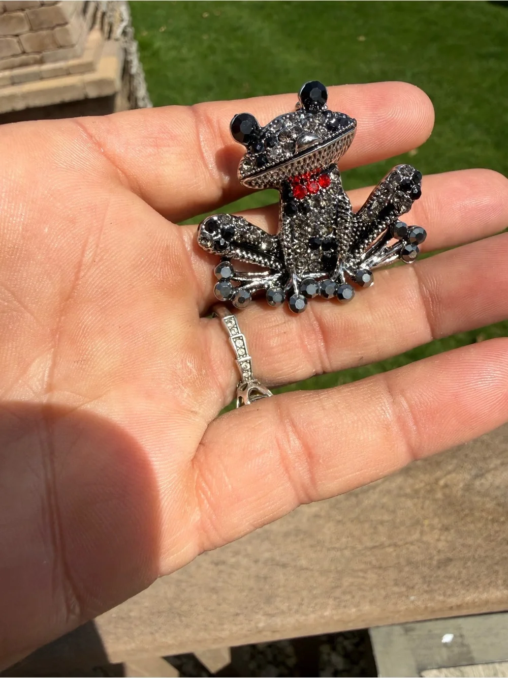 NWT Crystal Frog Brooch with Red Accent and black Crystals
